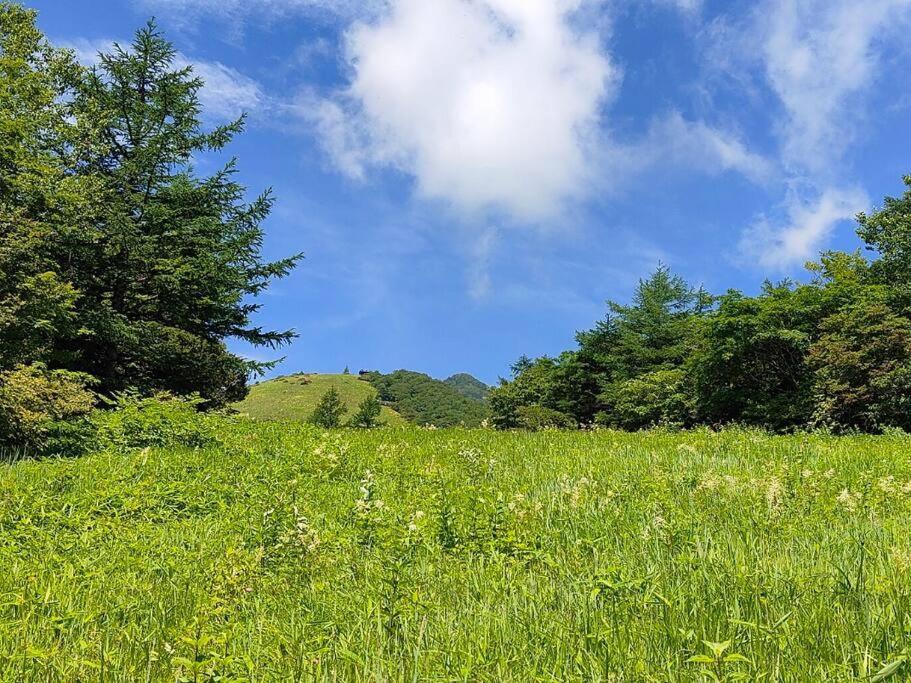 4brhouse Near Suginami Cedar Avenue 度假居 *